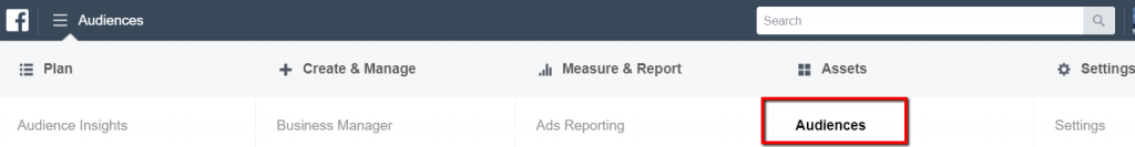 facebook audience tab